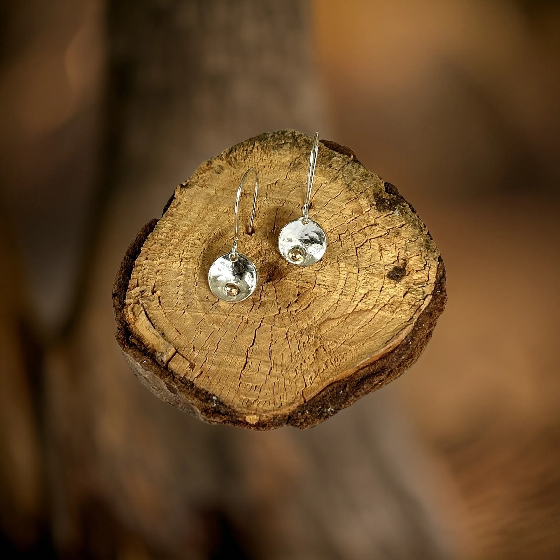 Silver Disc Earrings With Gold